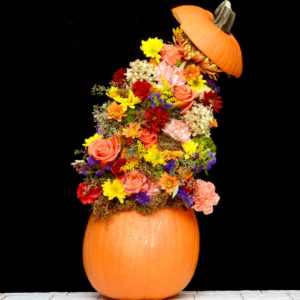 haloween flower class halloween flower class
