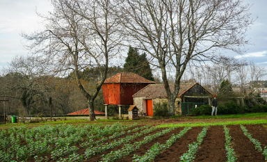 Photo of a farm landscape