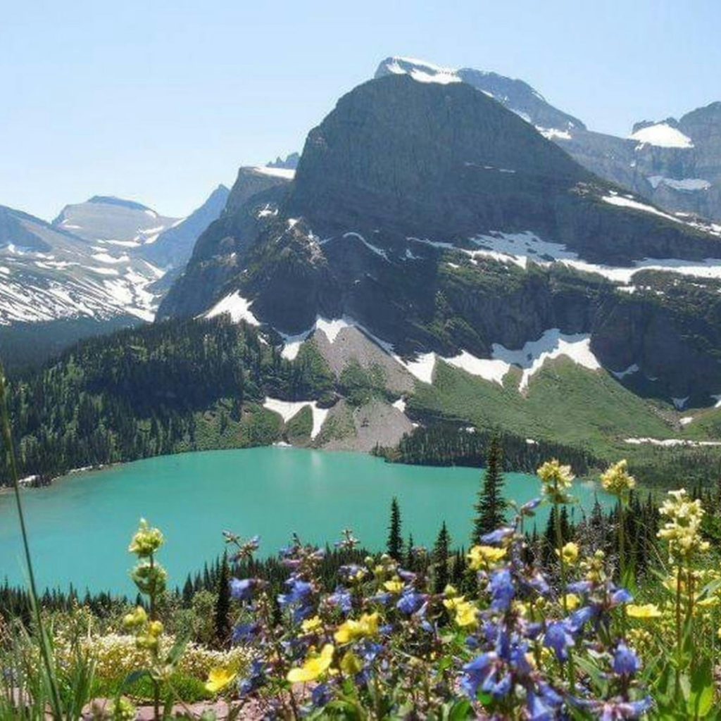 Rocky Mountain Range overlooking a serene lake with wildflowers