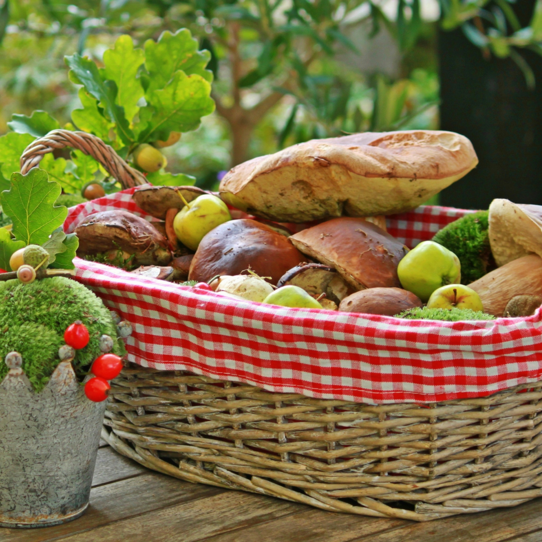 picnic basket with food