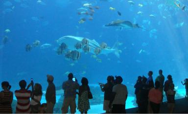 Aquarium
