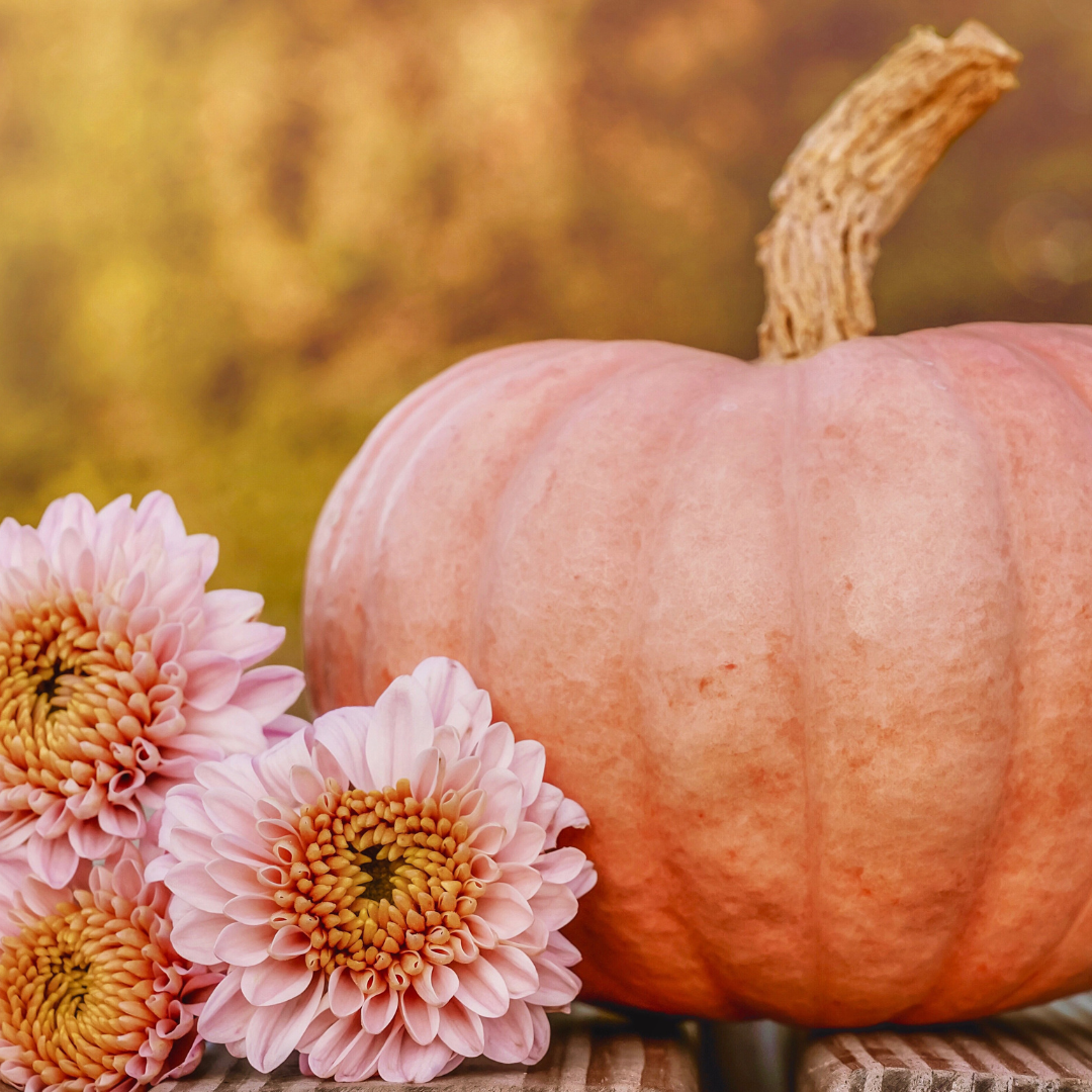 pumpkin and flowers