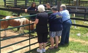 Volunteers at Small Miracles - Kingsport Senior Center